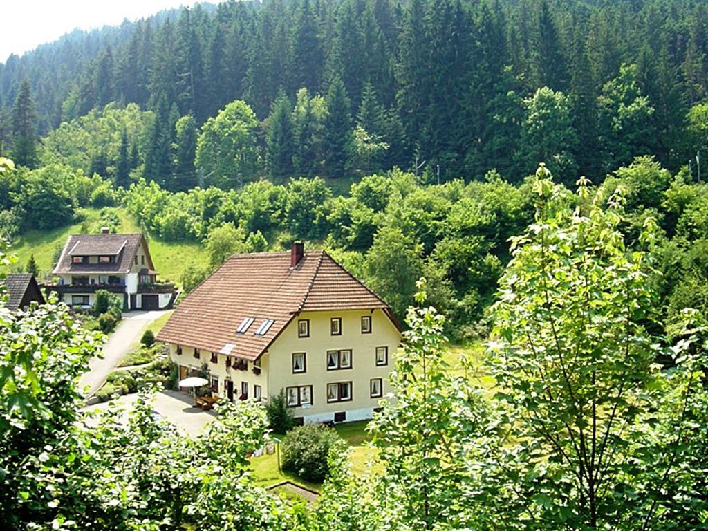 Country Style Flat With Garden Apartment Triberg im Schwarzwald Exterior photo